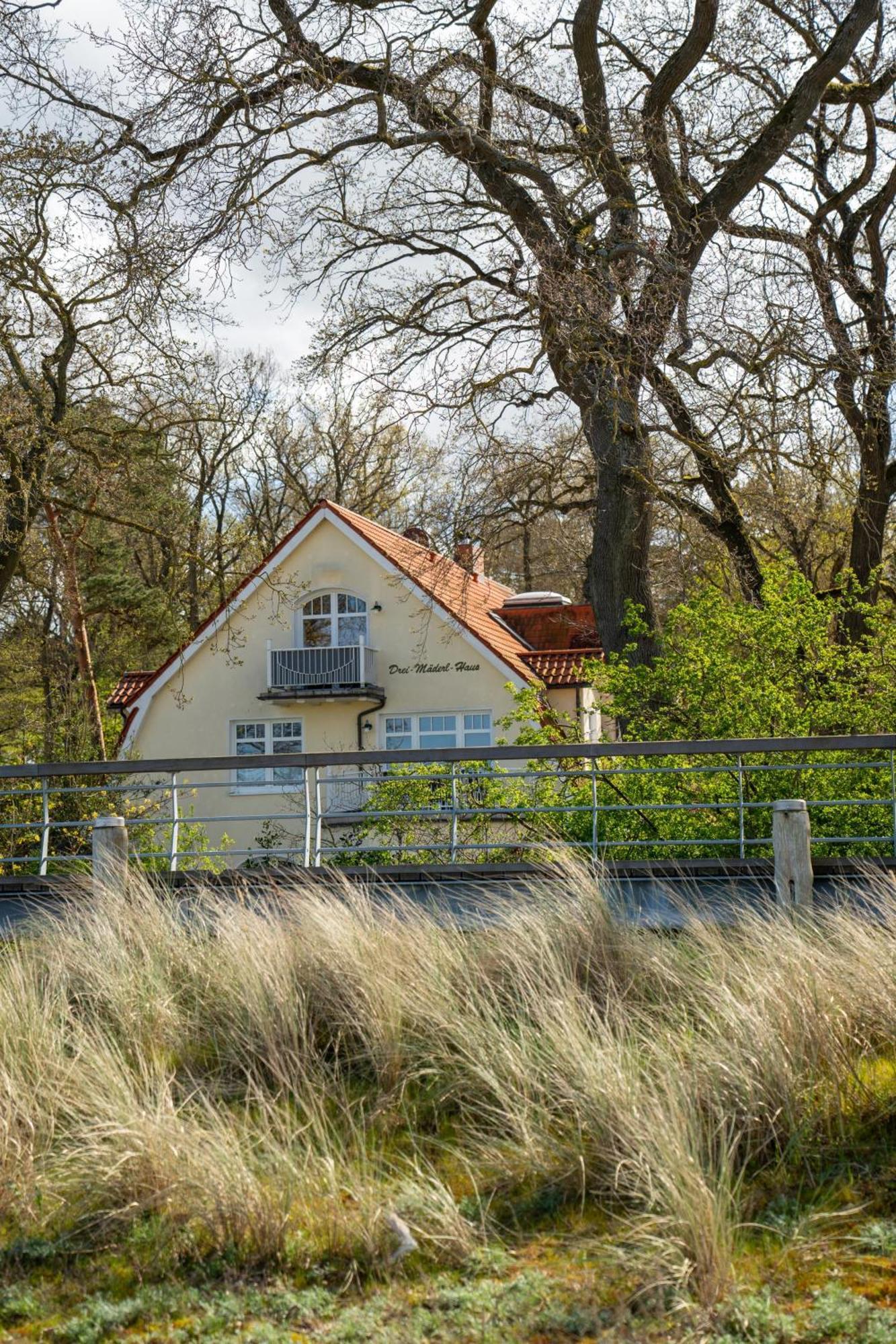 Strandvilla Drei Maederl Haus Болтенхаген Екстериор снимка